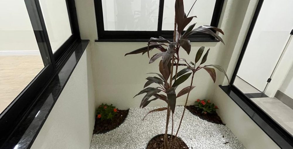 06 JARDIM DE INVERNO
